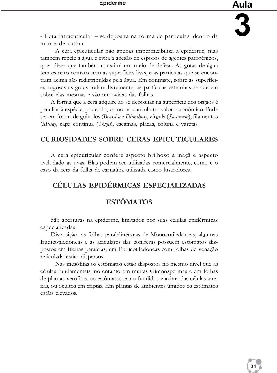 As gotas de água tem estreito contato com as superfícies lisas, e as partículas que se encontram acima são redistribuídas pela água.