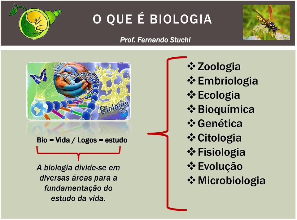 fundamentação do estudo da vida.