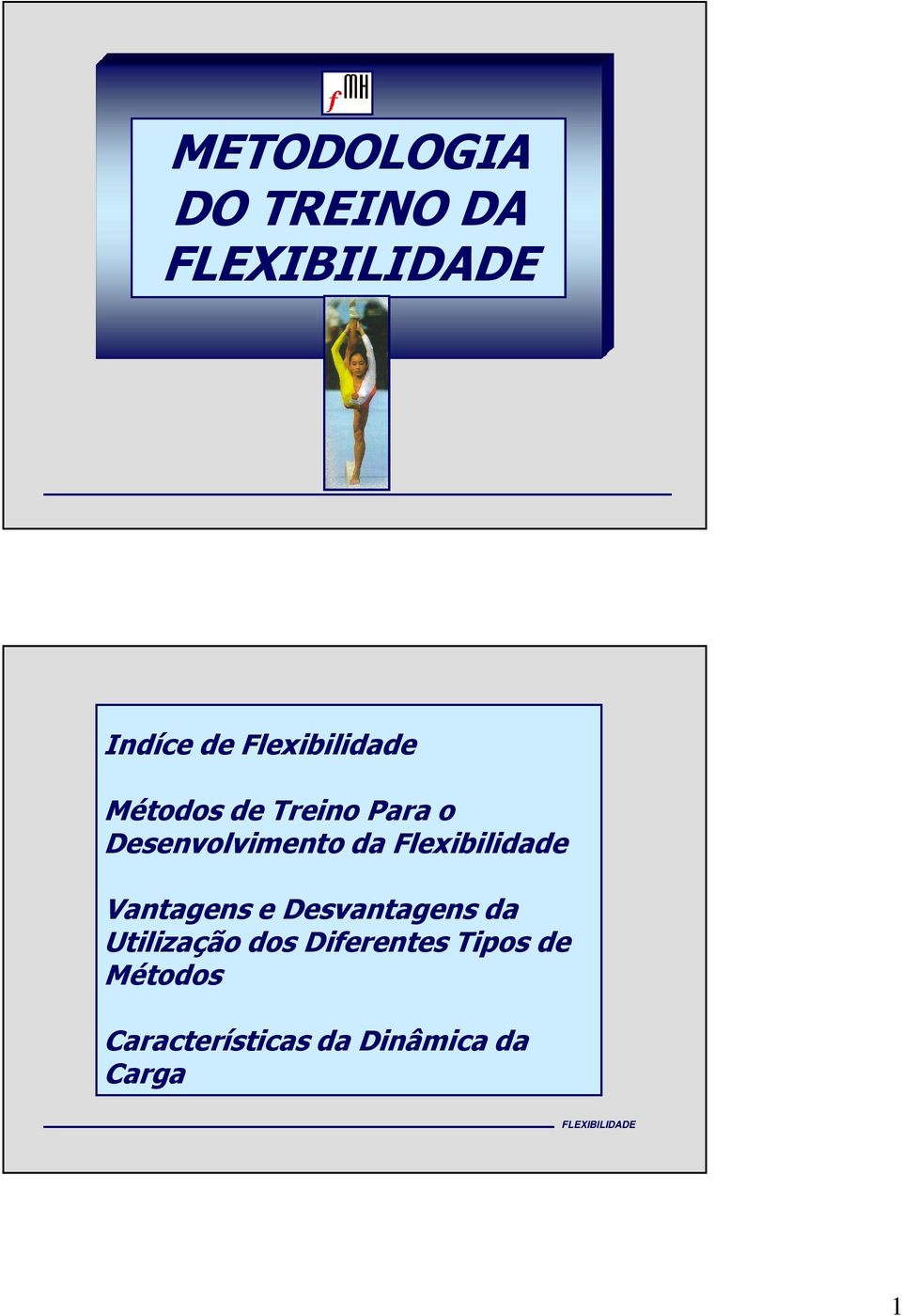 Flexibilidade Vantagens e Desvantagens da Utilização