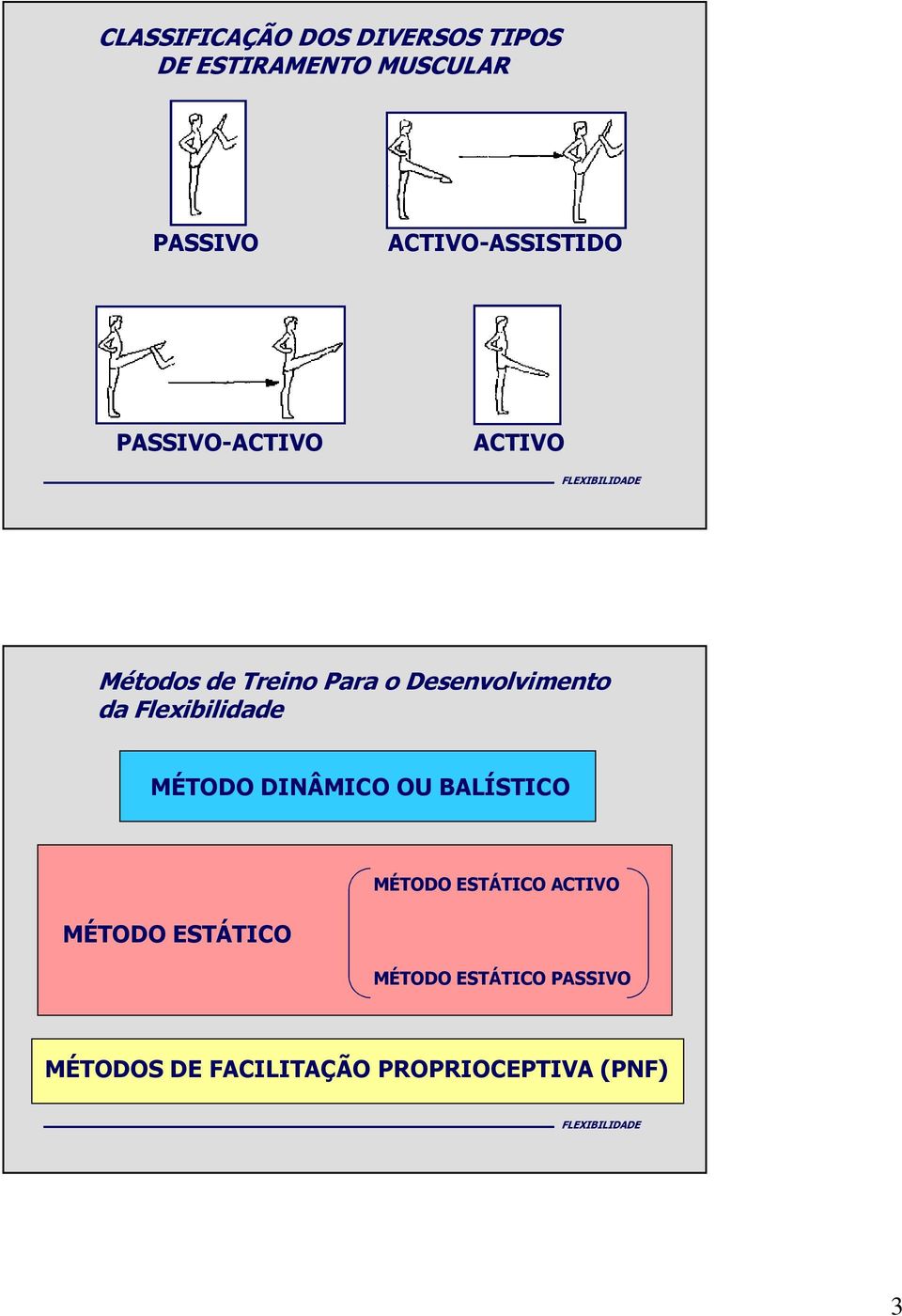 Desenvolvimento da Flexibilidade MÉTODO DINÂMICO OU BALÍSTICO MÉTODO