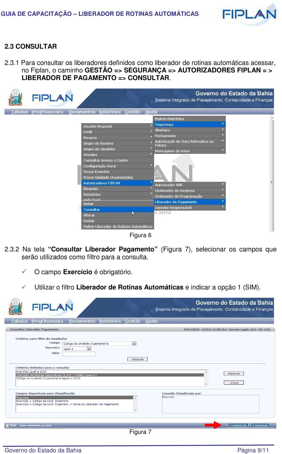 2 Na tela Consultar Liberador Pagamento (Figura 7), selecionar os campos que serão utilizados como filtro para a consulta.