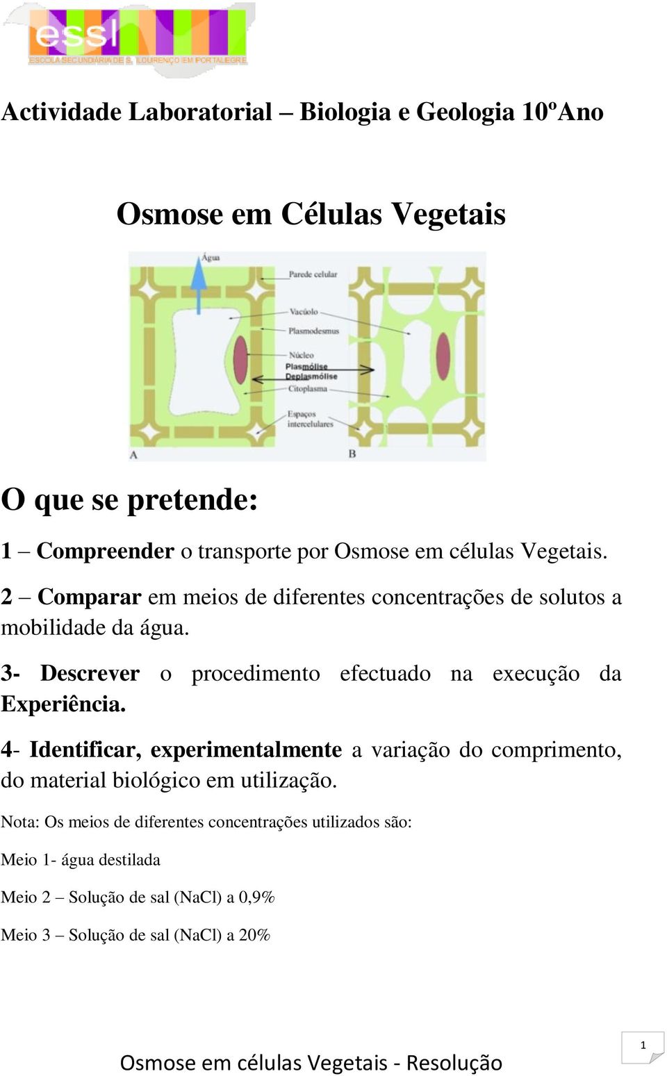 3- Descrever o procedimento efectuado na execução da Experiência.