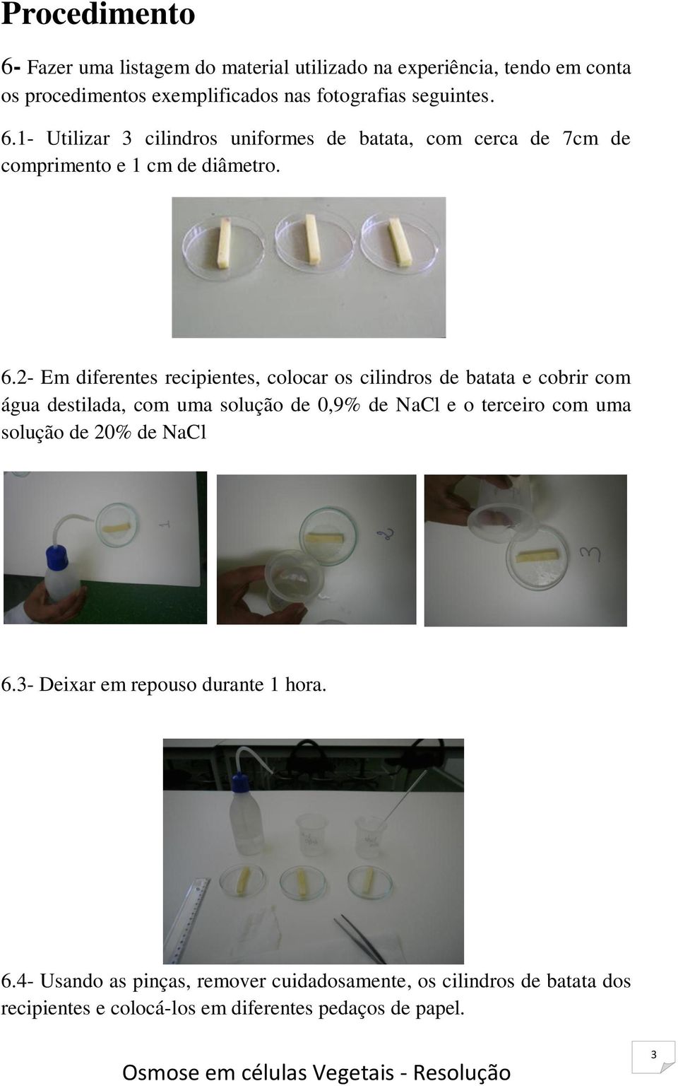 2- Em diferentes recipientes, colocar os cilindros de batata e cobrir com água destilada, com uma solução de 0,9% de NaCl e o terceiro com uma