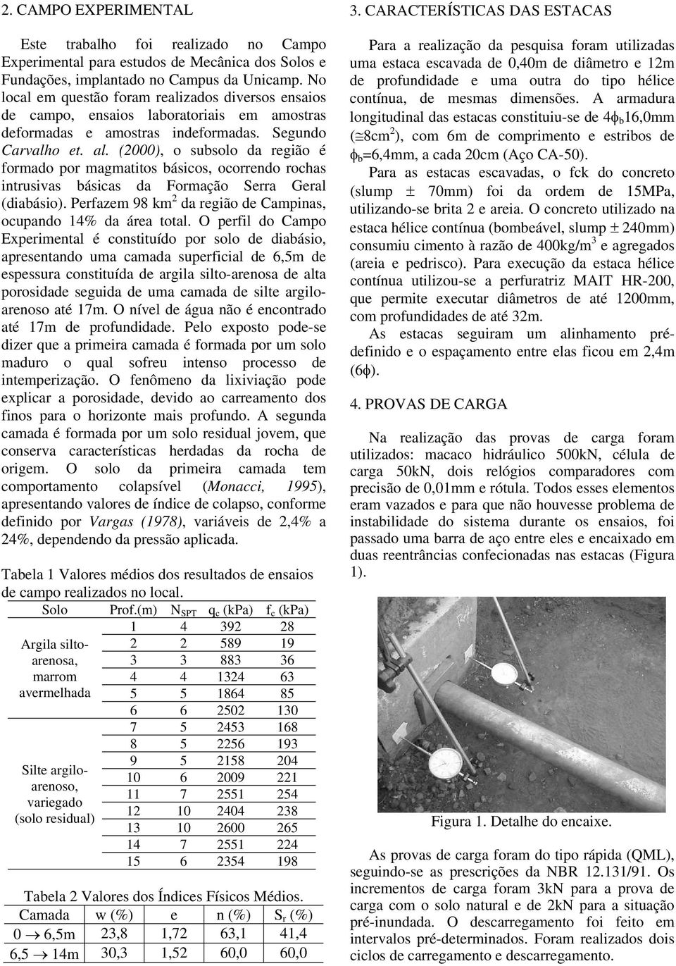 (), o subsolo da região é formado por magmatitos básicos, ocorrendo rochas intrusivas básicas da Formação Serra Geral (diabásio). Perfazem 98 km 2 da região de Campinas, ocupando 14% da área total.