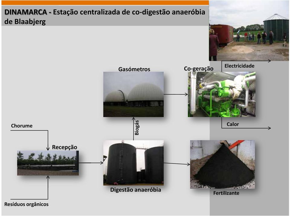 Co-geração Electricidade Chorume Biogás Calor