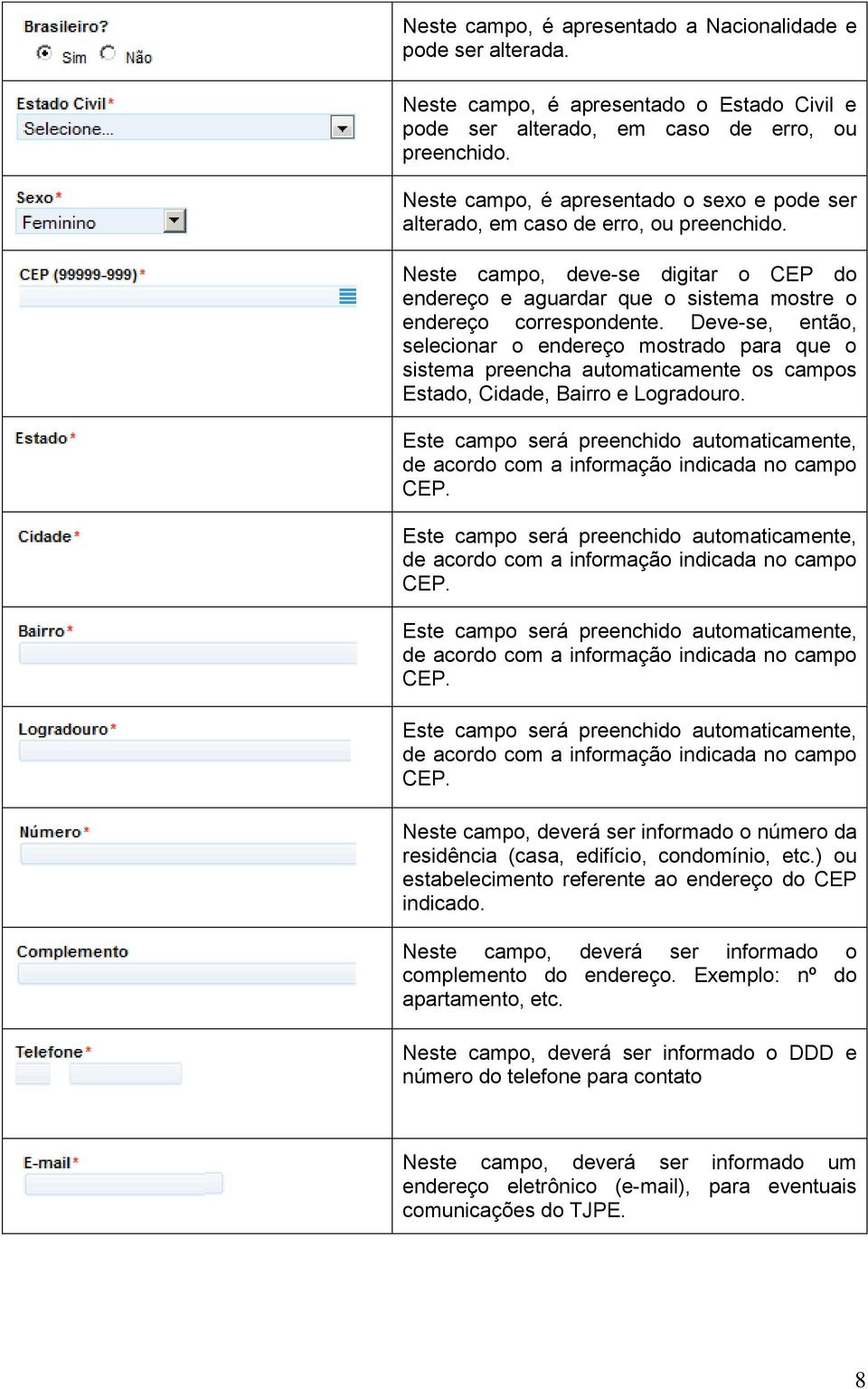 Deve-se, então, selecionar o endereço mostrado para que o sistema preencha automaticamente os campos Estado, Cidade, Bairro e Logradouro.