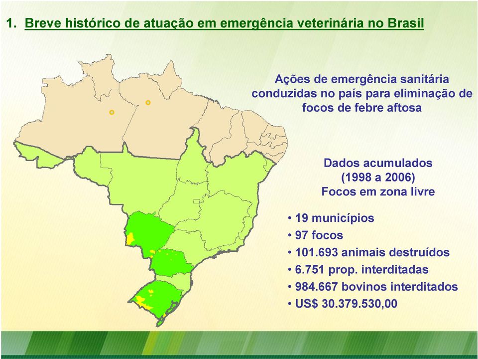Dados acumulados (1998 a 2006) Focos em zona livre 19 municípios 97 focos 101.