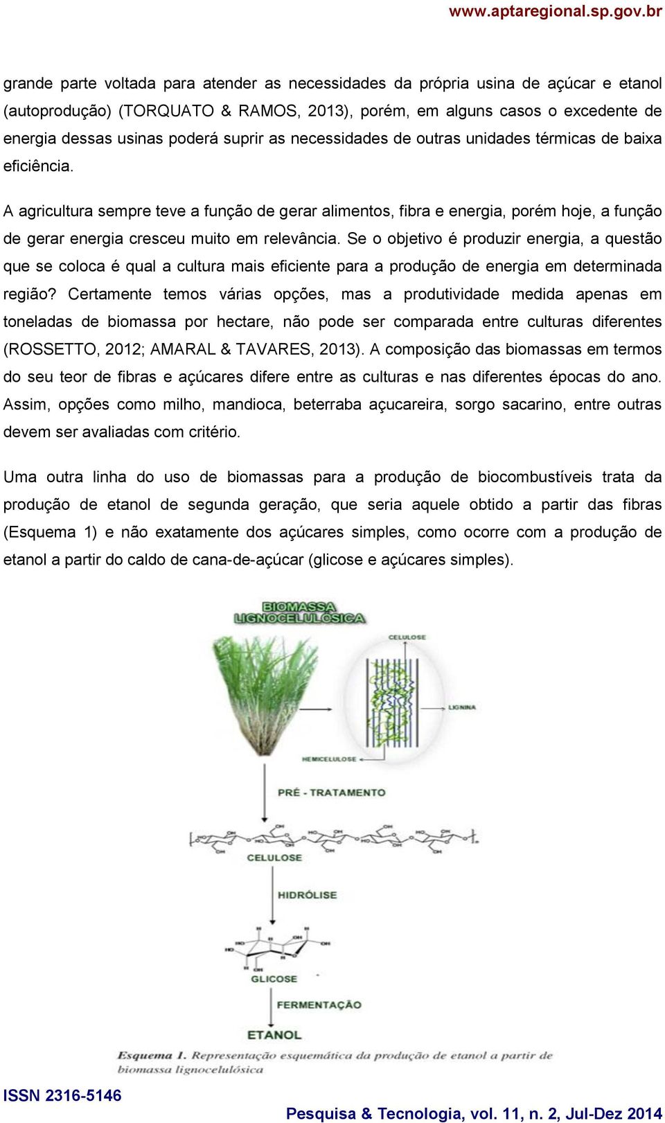 A agricultura sempre teve a função de gerar alimentos, fibra e energia, porém hoje, a função de gerar energia cresceu muito em relevância.