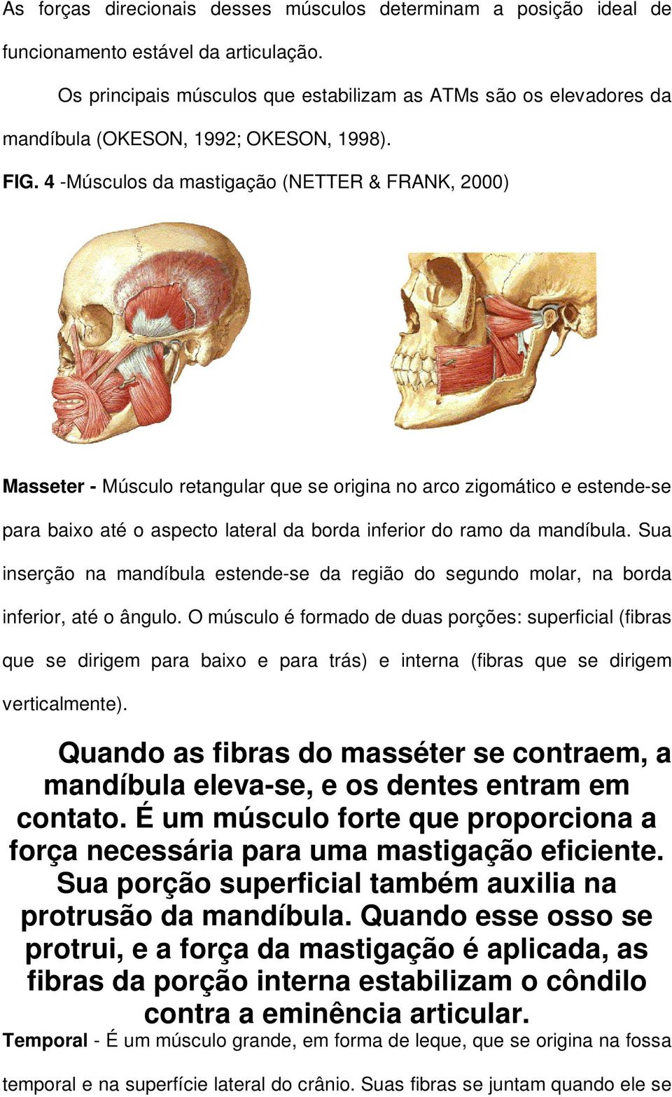 4 -Músculos da mastigação (NETTER & FRANK, 2000) Masseter - Músculo retangular que se origina no arco zigomático e estende-se para baixo até o aspecto lateral da borda inferior do ramo da mandíbula.