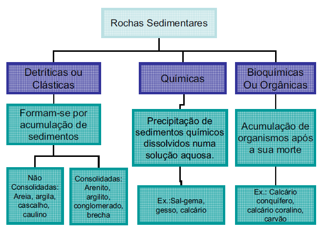 107 Rochas