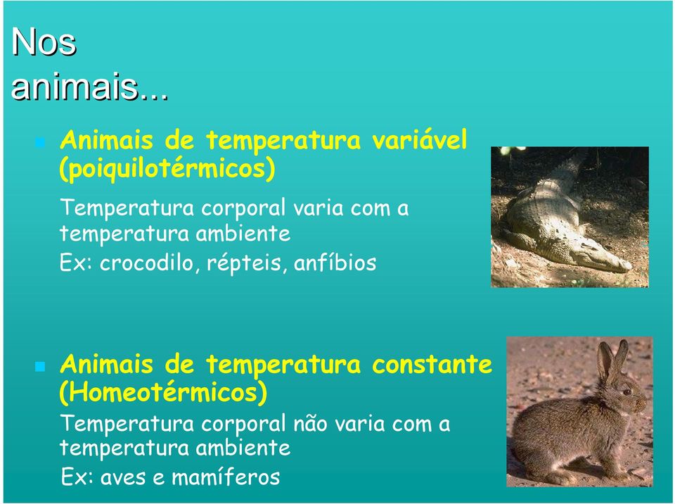 corporal varia com a temperatura ambiente Ex: crocodilo, répteis,