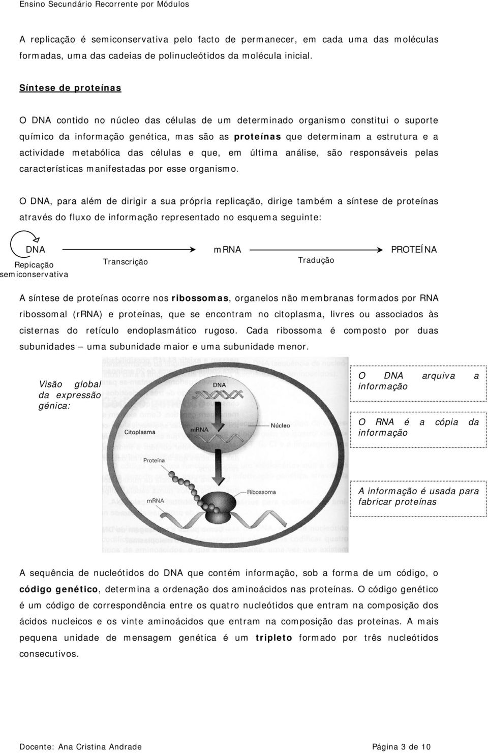 metabólica das células e que, em última análise, são responsáveis pelas características manifestadas por esse organismo.