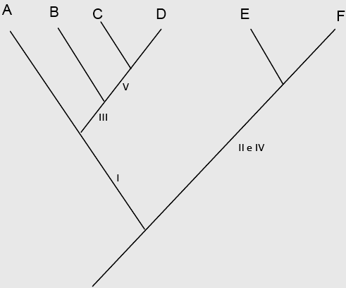 A partir desses dados, pode-se dizer que na árvore filogenética que reconstitui a história evolutiva dessas espécies, a) as espécies 1 e 2 compartilham entre si um maior número de ancestrais comuns