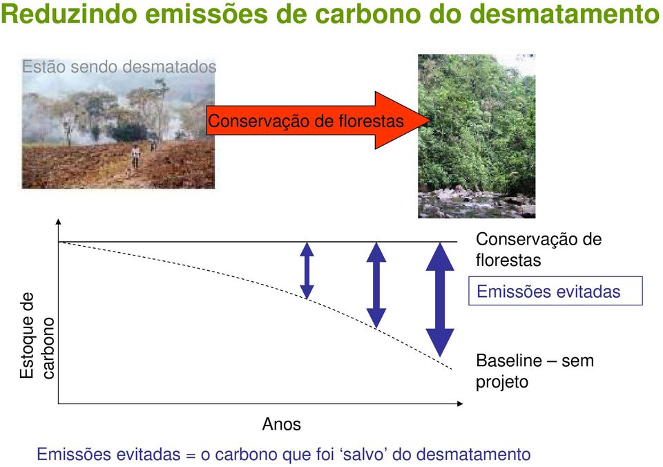 Estoque de carbono Emissões evitadas Baseline sem projeto