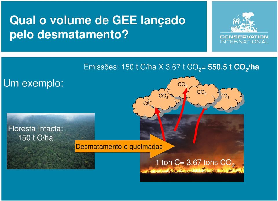 5 t CO2/ha Um exemplo: CO CO2 2 CO CO2 2 Floresta
