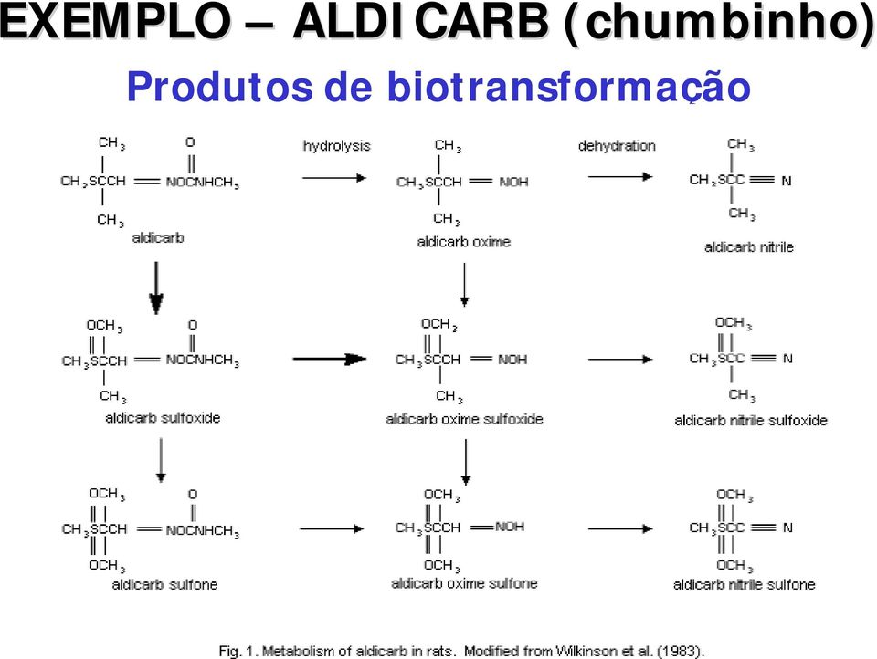 (chumbinho)