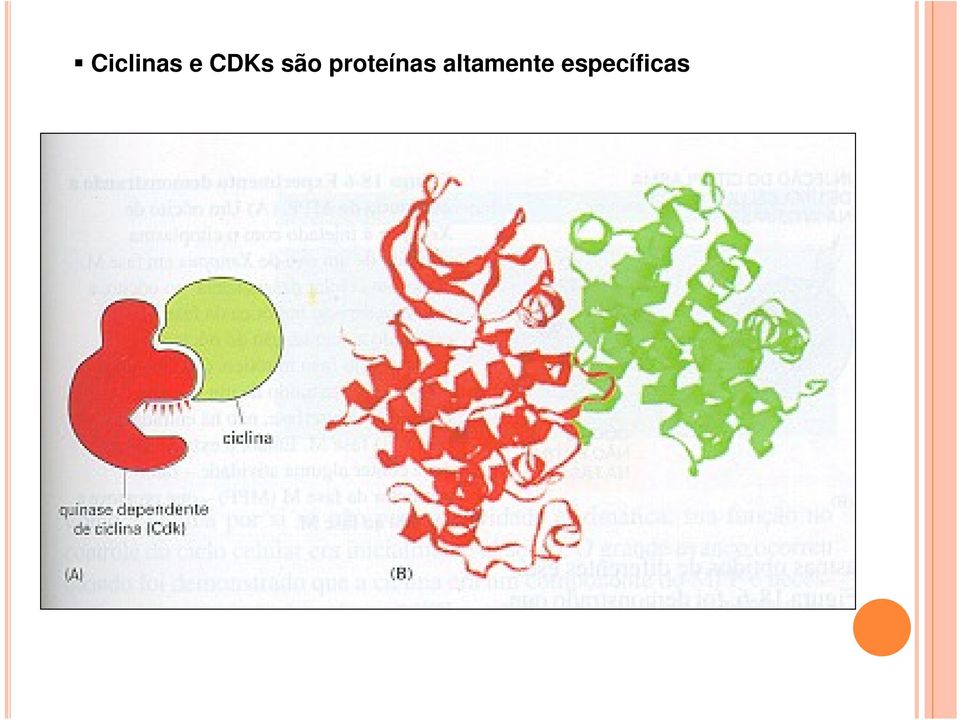 proteínas