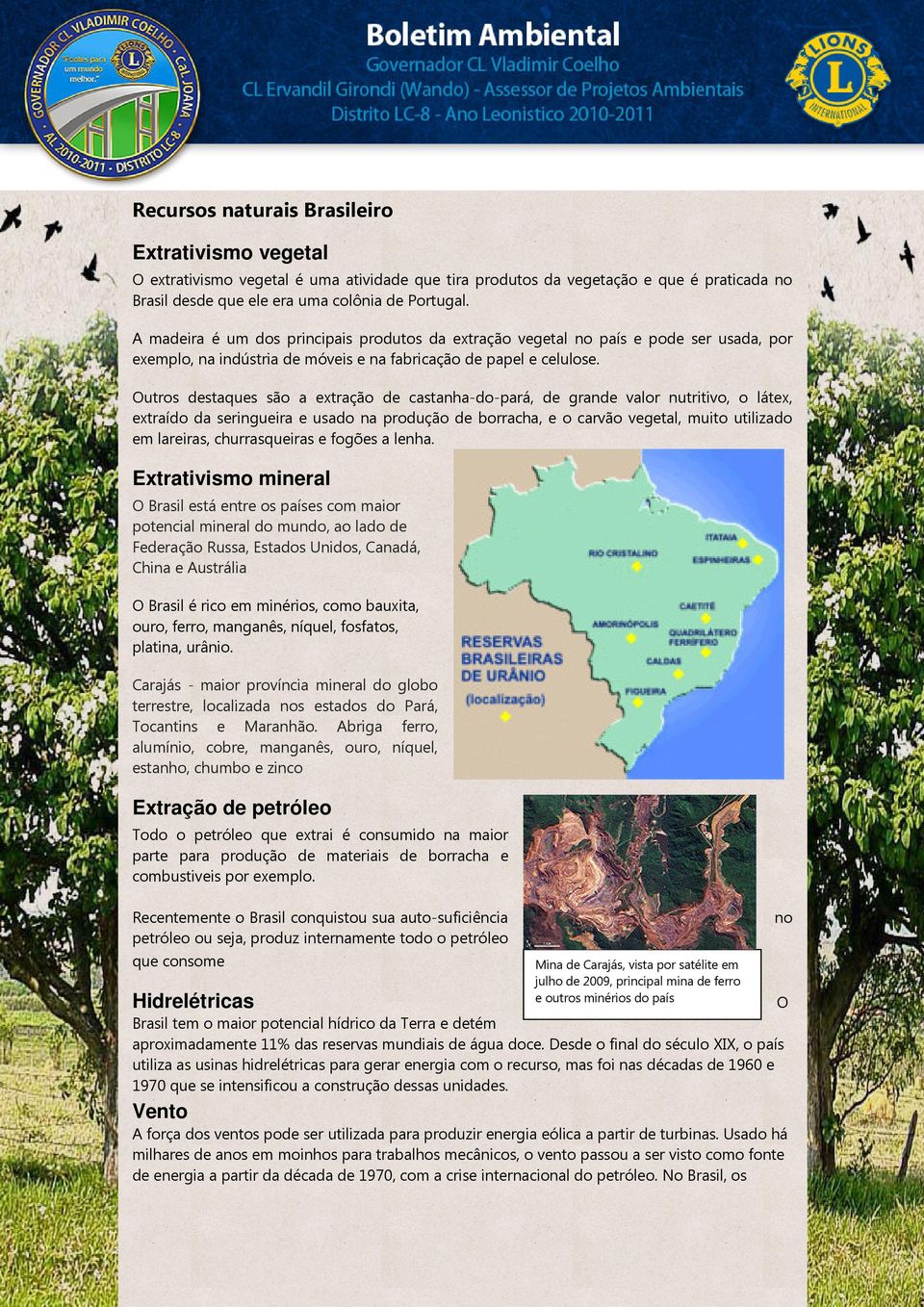 Outros destaques são a extração de castanha-do-pará, de grande valor nutritivo, o látex, extraído da seringueira e usado na produção de borracha, e o carvão vegetal, muito utilizado em lareiras,