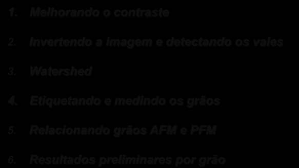 Processamento de Imagens AFM-PFM. Melhorando o contraste 2. Invertendo a imagem e detectando os vales 3.