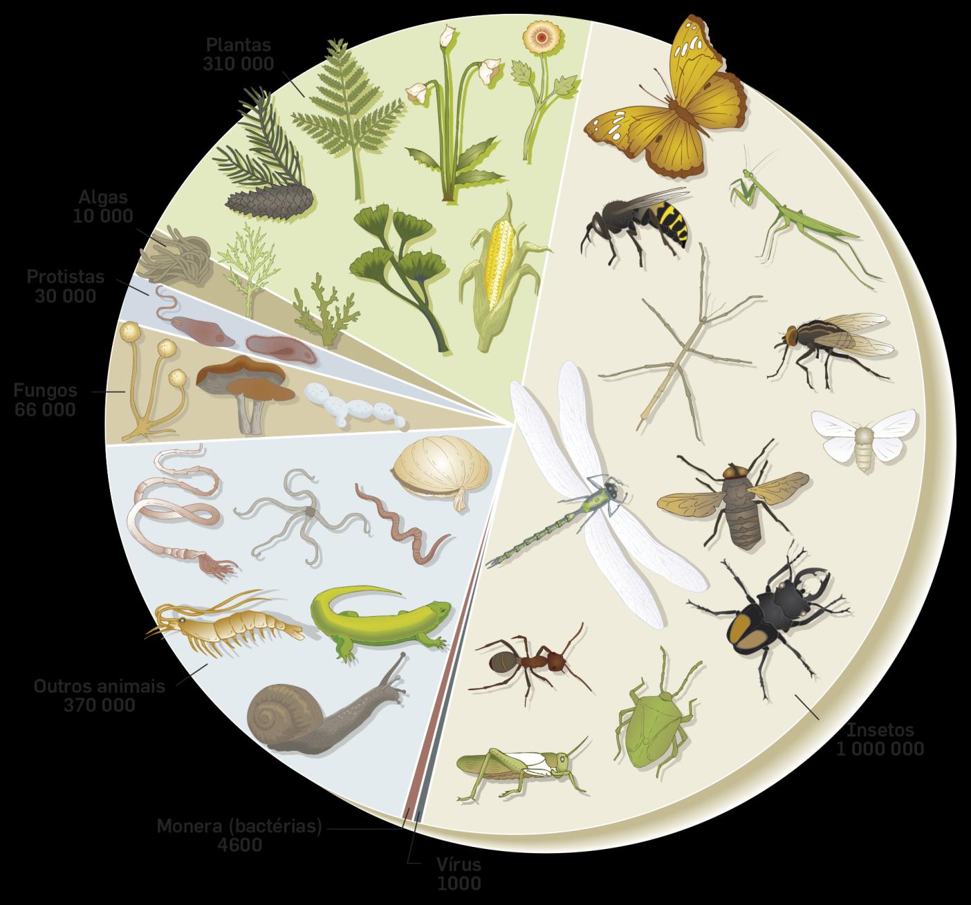 A biodiversidade tem variado ao longo do tempo.