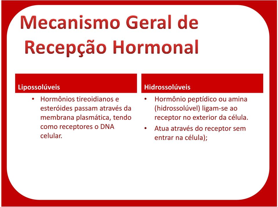 Hidrossolúveis Hormônio peptídico ou amina (hidrossolúvel) ligam-se