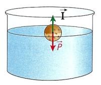 impulsão do fluido (P = I), o corpo fica em equilíbrio no interior do corpo 3) Se o peso do corpo for menor do que a impulsão do fluido (P < I), o corpo flutua P > I P = I P < I A impulsão é uma