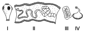 7. (UFPB) Em uma feira científica de doenças parasitárias estavam, em exposição, os materiais biológicos, indicados por I, II, III e IV, de uma mesma espécie.