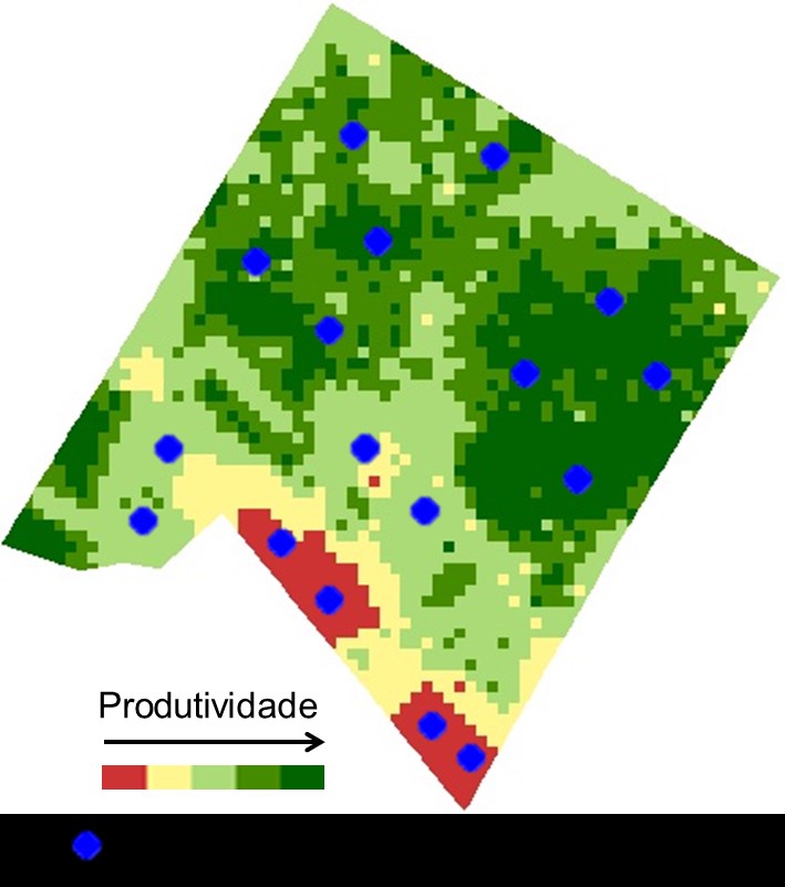 Figura 3: Mapa de fertilidade obtido por amostragem em grade por célula Nota-se que para essa metodologia não há preocupação em relação à densidade amostral, uma vez que não é aplicada a interpolação.