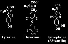 Tipos de hormônios: proteicos,