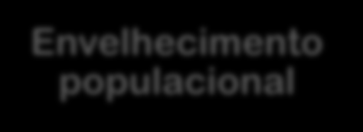 Aspectos Demográficos Redução da Fecundidade Razão de Dependência Potencialmente dependentes Potencialmente ativos (15 59) Envelhecimento populacional Classe de idade 2004 2013 0 a