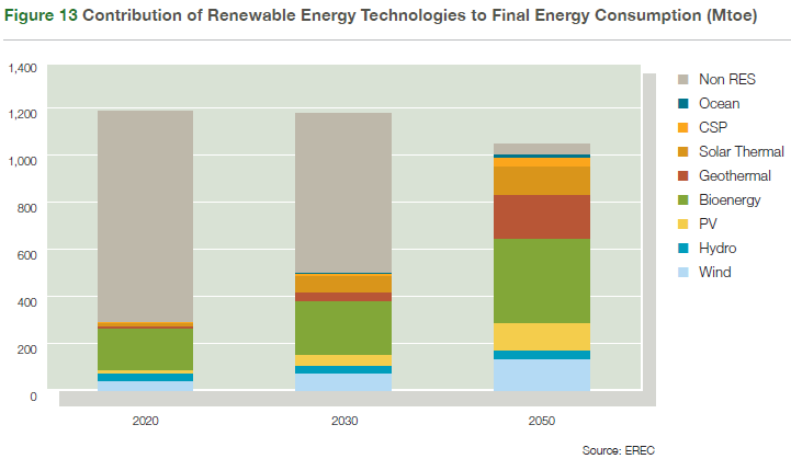 The Total energy consumption in Europe we get the final picture: bioenergy (solid biomass + biofuels+ biogas) will have, far away from all other renewable energies, the main