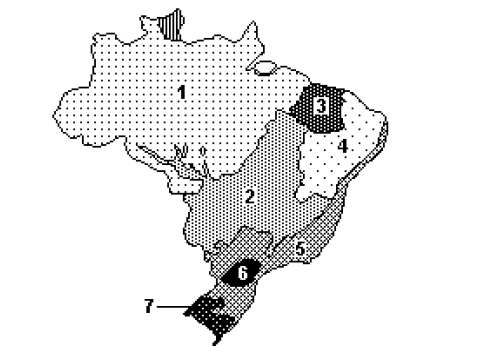 9.Observe o mapa a seguir onde estão representadas paisagens brasileiras.