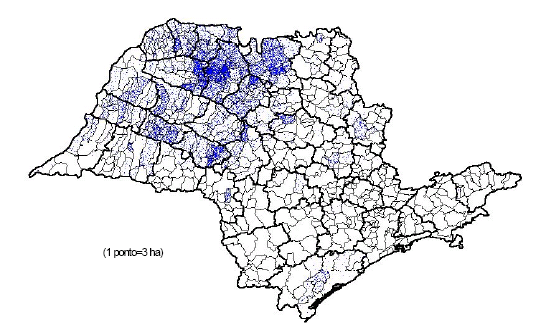 Seringueiras Distribuição Geográfica da Área Plantada com Seringueira, 1998-2003 Fonte: Francisco et