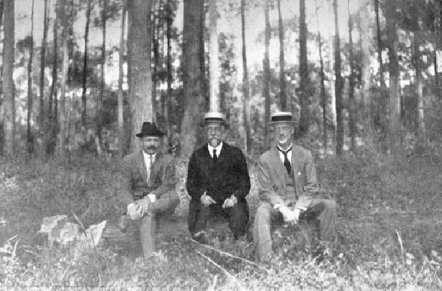 1904 - Edmundo Navarro de Andrade instala experimentos silviculturais para lenha e madeira em Jundiaí, SP C.