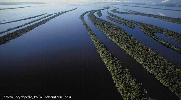 Rio Negro e Solimões Principal afluente do rio Amazonas,