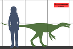 Anquilossauros Ceratopsídeos