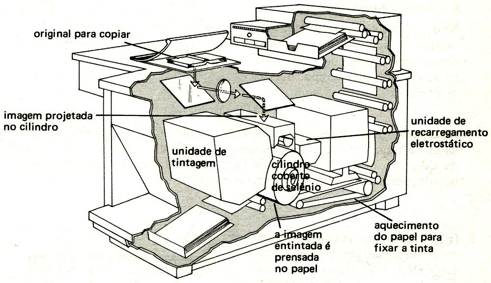 (1) RAMALHO et alii. Os fundamentos da Física. São Paulo: Moderna, 2003. (2) ROBORTELLA et alii. Eletrostática. São Paulo: Ática, 1990.