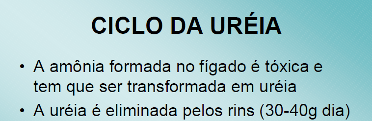 úrico