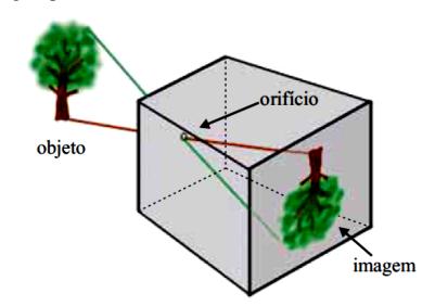 6. (UFTM) Uma câmara escura de orifício reproduz uma imagem de 10 cm de altura de uma árvore observada.