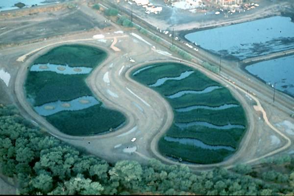 Sistemas de Fitodepuração Wetland de Fusina,