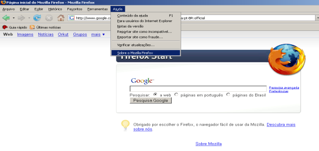 desenvolvidas com diversos recursos em Flash, DHTML e Shockwave, carregam em tempo sensivelmente menor.