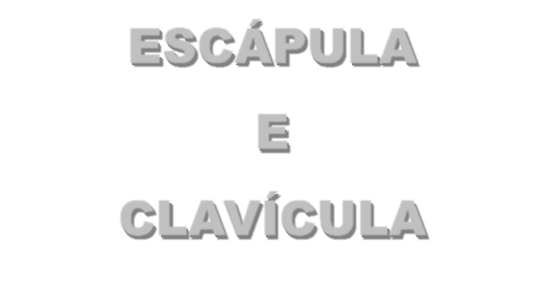 Esquelético CLAVÍCULA Membro Superior 1 Segmento - Cintura Escapular CLAVÍCULA e 2 Segmento -