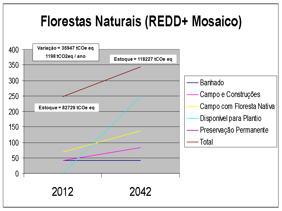 Projeto Fazenda Monte Castelo Região de tradição madeireira