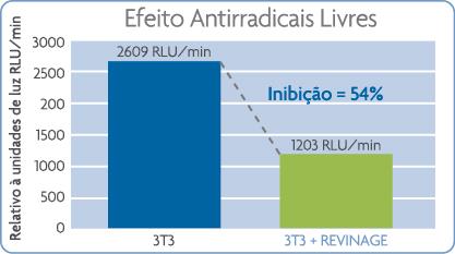 2. Efeito Anti-inflamatório e Antioxidante 2.1 Atividade de Superóxido Dismutase (SOD) Gráfico 7. Determinação da atividade da superóxido dismutase em culturas de fibroblastos 2.