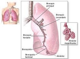 Componentes Vias