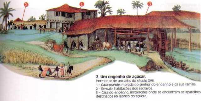 ESTRUTURA DA FAZENDA CANAVIEIRA