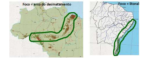 O Caso Especial da Palma de Óleo.