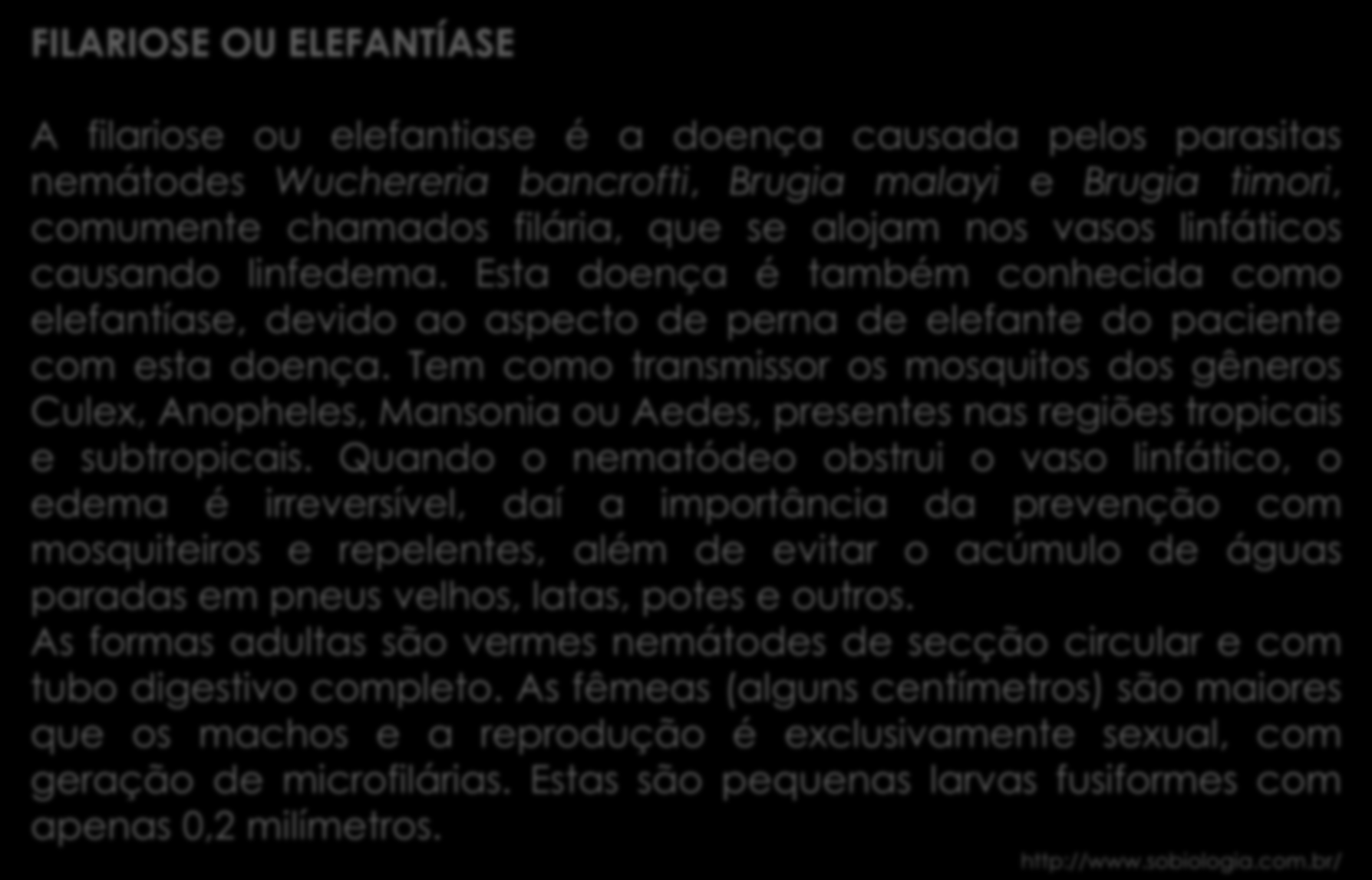 Filo Nemátoda FILARIOSE OU ELEFANTÍASE A filariose ou elefantiase é a doença causada pelos parasitas nemátodes Wuchereria bancrofti, Brugia malayi e Brugia timori, comumente chamados filária, que se