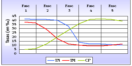 TRANSIÇÃO DEMOGRÁFICA *Fase I (pré-moderna): em sociedades rurais; taxas de natalidade e mortalidade altas. Há uma grande população jovem.