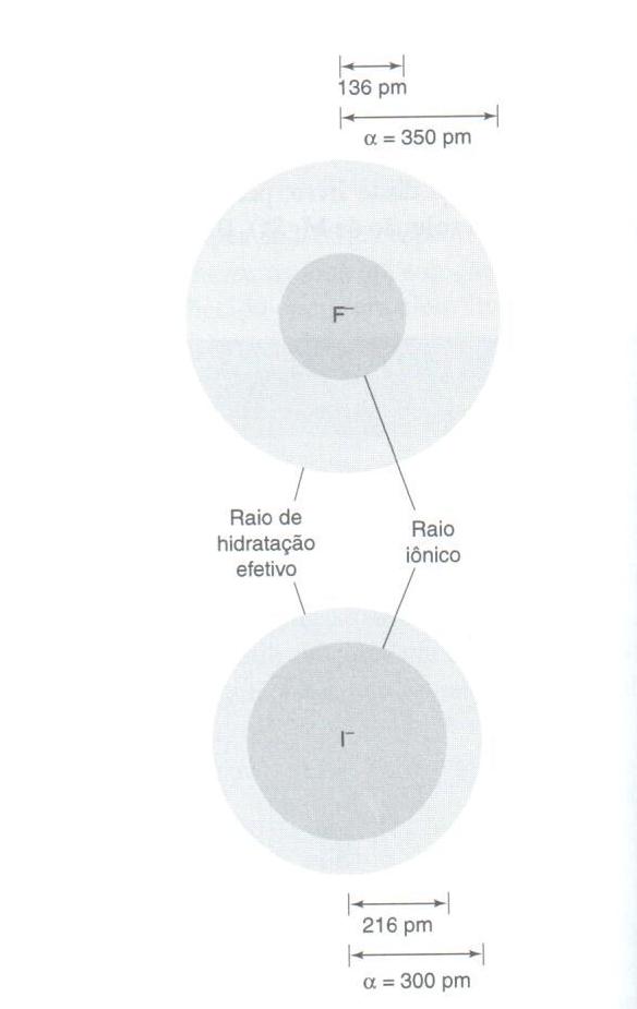 Raio de hidratação: é o raio efetivo do íon mais a
